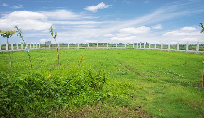 Facilities near Zinda Park